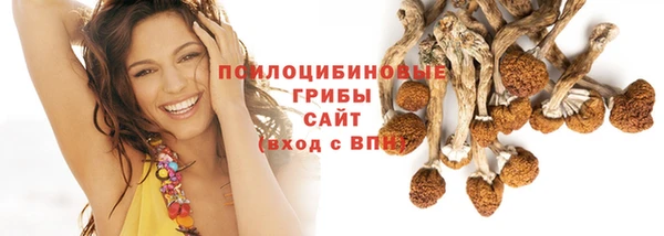 винт Абаза
