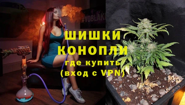винт Абаза