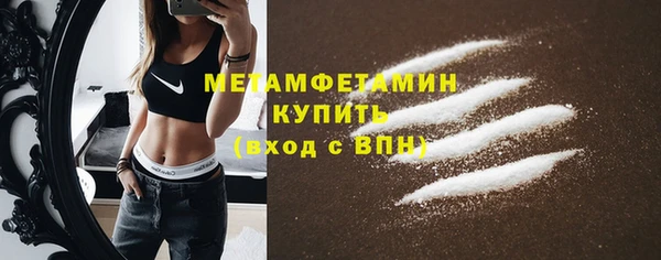 прущие грибы Володарск