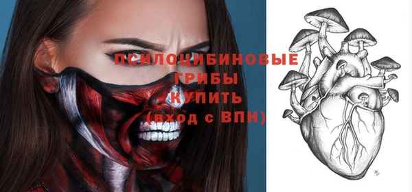 ешки Абинск